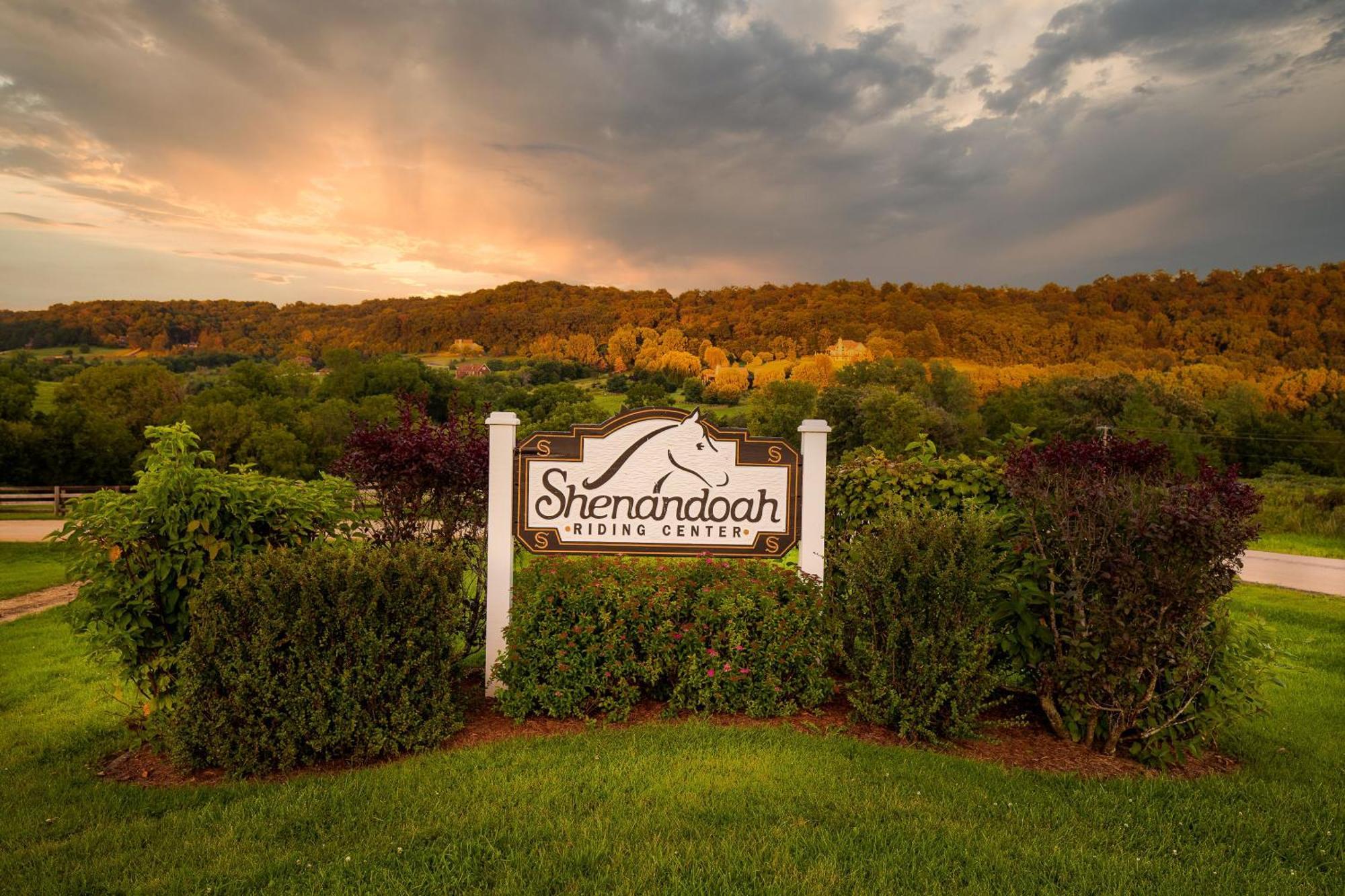 Summer Specials! Cozy King Beds, Pool Access, Galena Territory Amenities, Fireplace, Great Location In Galena Territory On Lake Galena Bagian luar foto